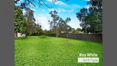  92 Parkes St West Ryde NSW 2114 904 SQM LEVEL BLOCK - GRANNY FLAT (STCA)! DOUBLE BRICK HOME POTENTIAL GALORE! . Rare 904 sqm Block, 15.2m x 59.4m  . Spacious Modern Gas Kitchen - Open Plan Living . 4 double beds, 2 bath, full length covered veranda . Walk to Bus, Rail, West Ryde Shops, Ryde City . INVESTORS, FAMILIES, RENOVATE, NEW BUILD Another superb property marketed by leading agents Grant Fletcher and Janet Fletcher of Ray White North Ryde Investors, Builders, Families, take note of this rare to market property in West Ryde, recognized as one of Sydney's top growth areas! Bus at door, minutes' walk to West Ryde Railway Station. Close proximity Ryde City Shopping Centre. Wide driveway access and land size offers great potential to build a Granny Flat to the rear (S.T.C.A). For families, move in as is, renovate, add a second storey or build the Dream manor home. For our investors, solid rental return, combined with excellent long term land investment potential. Quality Italian-built, DOUBLE BRICK construction and set on a massive 904m2 level block. First impressions deceive.. Enter to wide tiled hallway off which are four double bedrooms. Flows to a spacious modern gas kitchen which adjoins an expansive open plan living and dining room. Access via glass sliding doors to a full length covered verandah from which to relax while overlooking the delightful sunny rear landscape. Ample off street parking. Rare to market, 3 week auction, be quick! For further details Contact Grant Fletcher 0438 816 602 or Janet Fletcher 0438 543 547 (previous sale 44 Falconer Street, West Ryde $3,261,000). 