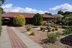  12 Mitchell St Kerang VIC 3579 Quality Brick Veneer Home Approx 30 year old 3 bedroom Home that has been lovingly cared for by its one owner. Set on a large block with 2 large sheds & 6m X 5m outdoor entertaining area and landscaped gardens. 12 Mitchel street is across from South Primary School. This comfortable home has the benefit of 2 Reverse Cycle A/c’s and floor heating. 2011095305 