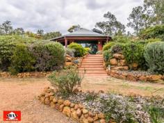  23 Walden Close Gidgegannup WA 6083 Inspections Inspections by appointment only. This rural and much sought after village on the edge of metropolitan Perth, has many superb life styles to offer. This 6.2 acre property would have to be classified as your own piece of paradise, secluded and far away from the maddening crowd with the hustle bustle of the city. It borders other large properties with one great neighbour, Please allow me to give you a little tour, starting with pines and an electric gate/intercom, a welcoming feature on wet and windy days. The 150 metre trees and shrubs lined driveway brings you to a large parking area, a double car port and double shaded parking. A lovely elevated home, flanked by bush further compliments this great setting. The pond, the sound of 3 waterfalls, lush green rockery and a backdrop of unique and unusual panels, gives the outdoor entertaining area a special feel. Open living with 180 degrees views over a native garden, bushes and trees that seem to ramble on into the distance over this gently sloping property. The split kitchen is a cook’s dream where dirty dishes and evidence of a great meal are hidden from view by a low curved feature wall. It also features a new gas cook top, electric oven. The property boasts a large master bedroom with private ensuite and walk-in-robe as well as a large double guest bedroom and a smaller double bedroom both with built-in-robes. There is also a office/single bedroom overlooking this amazing property. The main bathroom is large and is beautifully presented with a spa/shower and toilet. The pristine jarrah flooring flows through the home and along an extra wide passage way with bookcase. The high ceilings, tinted windows throughout and the cosy wood fire resonate the perfect setting to unwind and enjoy the stunning views from this beautiful property whilst reading, relaxing with family or entertaining. A solar hot water system with gas booster and a solar tracker run endless hot water to the property using the sun hitting the large roof span to reduce your electricity costs. Outside the property features a wrap-around verandah for relaxing and taking in the breathtaking sunsets. The property is also fire ready with permanent gutter guard, 24m span large sprinklers, extra-large electric cable, firefighting pump and hose and 12000L and 150000L water tanks. Hundreds of graceful grass trees (black boys) some ancient surround the home, together with the many shrubs and trees that make this property lush and green all year round. A small path meanders through the bush to a netted vegetable garden, 2 open patches and a 6m x 3m potting shed with electricity. Next to this is a 12000L water tank fed by a 600 gallon an hour bore for watering with a new pump. Currently three quarters of the property is reticulated with automated sprinklers and a float switch regulates the water level. There is another 6m x 3m workshop also with electricity, a work bench and shelving on both sides for storage. Then there is a 6m x 3m ventilated storage shed. Just down a slope your eye will catch citrus and exotic fruit trees as well as 2 almonds, and a pecan tree, all artistically netted and weed protected by a weed matt and top dressed with very fine gravel. Further down a chicken coop, enclosed to make it fox proof and house on stilts, with easy access to eggs. This is part of a larger open enclosure, ideal for geese, ducks, goats etc. A circular driveway leads to steps and a 150.000 Lt. rain-water tank that sits on the other side of the house together with more netted exotic fruit like, Jube-Jube , Persimmon, Pawpaw, Pomegranate and another Shartoot all hidden from view. Jezzabelle the pet kangaroo was brought up in the house and considers this her home. She will delight you when she comes to feed with her current joey. Wild ones will come down in the hot summer to feed at the kangaroo patch just below the house which is kept green with two large sprinklers. There are several great secluded spots to sit with a book overlooking a dam across the bridle path or you might enjoy the green rolling pastures across the fire break. Close to the house is a great spot for a fixture or an umbrella and some chairs, marvelling at the lovely view, bush orchids and wild flowers. This area is ideal for entertaining with friends or family. There is ample room for a pool or to keep animals. The local schools at Mt Helena are only a few kilometres away and there is a bus stop 100 metres from the front gate of the property. • If you are ready to make the tree change and looking for seclusion and nature at its best, waking up to the sound of kookaburra’s.  • If you marvel at the sight of an eagle soaring high in a clear blue sky or watch a flock of red tailed cockatoo’s resting in their favourite tree.  • If you like to be surprised by a bobtail wondering past or like to surprise a sleeping sun drenched goanna on the driveway.  • If you like to spot an unsuspecting bandicoot or get excited by a heron, gingerly negotiating rocks to snatch a fish from the pond.  • If you enjoy watching galas, twenty eights and magpies or beautiful bright blue wrens all vying for position at the feeder just outside the window.  THEN THIS CAN ALL BE YOUR INSTANT PRIDE AND JOY. The owners have lovingly spent many years of dedication to this once virgin piece of land which has so much to offer that no photo or description would do justice to the magic that surrounds you here. 