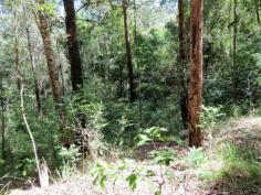  Langley Vale, NSW 2426 96.9 acres of natural bushland ranging from gently undulating to sheer 
cliffs at the back. Believe it or not this natural block is located less
 than 20 minutes drive from town and to local beaches. The block is 
considered to be light 4WD access has power at its frontage, basic 
boundary fencing and has an access track already cleared deep onto the 
block. This is a natural wonderland with a mixture of hardwood timbers 
many of which appear to be mill able, pockets of protected old growth 
forest and areas of identified rainforest. The open cut gullies traverse
 down the slopes making for beautiful water features and the naturally 
occurring Stag horns, elks and native orchids line the trees. If you are
 looking for a getaway, a large parcel of land in a completely private 
position, somewhere to built that log cabin or a shed to escape then 
look no further one of the most affordable large acreages along the 
coast. Private, secluded, tranquil and CHEAP! 