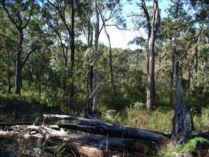 
 19/20 Stonehouse Rd 
 Pillar Valley 
 NSW 
 2462 
 This 56 hectare (approx 140 acres) farm offers Coldstream River 
frontage with an abundance of native flora and fauna and plenty of 
little creeks. 

 The beaches at Wooli,
 Diggers Camp and Minnie Water are a short 20 minute drive away, 
offering surf, river, several shops, a pub and a bowling club. Yuraygir 
National Park is your backyard with enjoyment galore. 

 The block is accessed by road easement from Stonehouse Road off Wooli
 Road in Pillar Valley and consists of a mixture of lush river flats, 
sandstone and wooded areas. 

 The property has a cabin with water tank and septic system so you can extend or build your dream home among the gum trees. 
 
 

 

 
 
 

For Sale


$295,000.00 

 



Features 