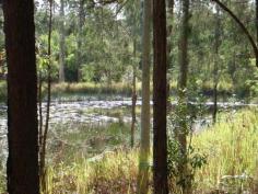 
 19/20 Stonehouse Rd 
 Pillar Valley 
 NSW 
 2462 
 This 56 hectare (approx 140 acres) farm offers Coldstream River 
frontage with an abundance of native flora and fauna and plenty of 
little creeks. 

 The beaches at Wooli,
 Diggers Camp and Minnie Water are a short 20 minute drive away, 
offering surf, river, several shops, a pub and a bowling club. Yuraygir 
National Park is your backyard with enjoyment galore. 

 The block is accessed by road easement from Stonehouse Road off Wooli
 Road in Pillar Valley and consists of a mixture of lush river flats, 
sandstone and wooded areas. 

 The property has a cabin with water tank and septic system so you can extend or build your dream home among the gum trees. 
 
 

 

 
 
 

For Sale


$295,000.00 

 



Features 
