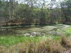 162 Boyle Road, Belli Park, Qld 4562 This very private 50 acre block consists of approx 1/3 improved/native 
pasture for grazing and the remainder is young regrowth timber. There is
 a dam complete with water lillies which appears to be springfed. 
Excellent water source for local wildlife. A formed track gives easy 
access to a prime house site at the rear of the property which has 
magnificent views over the surrounding Mary Valley. The dairy cows can 
be seen grazing in the irrigated green grassed paddocks. Surrounding the
 house site is is old kikuyu pasture and even the remains of an old 
timber home which once stood on the site many years ago. The property is
 fully fenced and ready for horses and/or cattle. Power and phone at the
 front of the property. This property would be ideal for the Buyer 
wanting complete privacy and some of the best views in the Valley.
 Just over 11klm to Kenilworth and 23 klm to Eumundi from the property. 