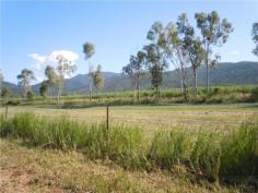  Situated on Bilyana Road, Bilyana, approx 3 kms from Bruce Highway with bitumen road frontage and is mostly fenced. Centrally located approx 2 hours to Cairns and Townsville, 15 mins to Tully and Cardwell and 30 mins to beautiful Mission Beach. The Property is currently leased and growing cane for the 2013 cane season. The lease expires on the 31st of December, 2013. The purchaser is allowed to access during the season to any harvested cane blocks so that the purchaser can ratoon the cane or plant new crops. 35 HA (86.4 acre) water licence for irrigation. Irrigation bore with associated diesel motor and mono pump included. Farm has previously been used for growing seasonal small crops and as a cattle property, however with the water licence for irrigation and irrigation bore it's ideally suited for irrigated crops including papaya, bananas and small crops comprising melons, pumpkins, taro, choko's etc. Growing of cane could be continued also,with potential for a further two cane seasons from the existing cane stools on the property. High tonnage and CCS farm in relation to cane for the last three cane seasons the farm tonnages and CCS have been above the mill area averages. Plenty of areas on property where you can build your house and have views of nearby mountain ranges. Ideal property to retire to and enjoy the peace and quiet of country living and earn an income at the same time either from cane, cattle or other crops. Land Size    375700 m2 >Crossover    None Location    0 Bilyana Road Bilyana QLD Price    595,000.00 