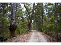  8 Johnston Road Nannup WA 6275 $475,000 Key Details property ID 336292 land size 12.87ac Description A GREAT LIFE There is no doubt about it that the current owners have been busy building the foundations for a great life on this 13 acres with a winter creek. Be the one to benefit from all this hard work. Mainly bush from the road the block slopes towards the creek bed and opens up into lovely open views. This is where the older style 3×1 with sleep-out sits nestled. Above that is the newly built triple garage and entertainment area which has a 19 x 10 metre space complete with wood heater, a 3 x 3 metre bathroom and a deck to take in the views. You have everything you need on this property, a half acre fully fenced orchard and vegetable gardens, bore, two rainwater tanks and various sheds. If you are the kind of person that likes a project this could be it. Lots of extras. 