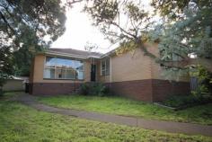  12 Montpellier Dr Highton VIC 3216  $350  Quiet Corner Close to Montpellier Primary School Sitting high on an elevated block just a stone's throw from Montpellier Primary School, this cream brick home features polished floorboards throughout the entry, bedrooms and lounge. 2 of the bedrooms have built in robes and all have ducted heating. The inviting front lounge room has large windows and a gas heater and leads to the sunlit meals and kitchen area. The kitchen is equipped with electric ceramic cooktop, wall oven and dishwasher. French doors in the meals lead outside to a patio and small back yard. A garage at the side also has an extra storage shed at the rear. Price Guide: $350 per week   |  Type: House  |  ID #541252 