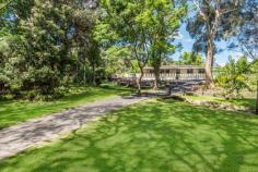  38 Chamberlain Road Wyoming NSW 2250 Sitting on just over 1 acre of parklike grounds with perfect north-east aspect and overlooking a freshwater creek meandering through shaded landscaped grounds, is this superbly renovated large 3-bedroom, single level home. The sophistication and high quality of the renovations reflects the owners’ North American inspired design, decorative skills and fine tastes. The property offers separate front and rear gated entrances, a double garage and expansive private enclosed courtyard and pool complex. Facing north is an enormous covered terrace perfect for outdoor entertaining. There is an additional backyard area with established fruit trees and raised garden beds. The immediate impression upon stepping into the house is of a grand open plan living space featuring beautiful tiled flooring throughout, a superbly arranged and incredibly functional kitchen with an oversized island and stone waterfall countertops. The bedrooms are substantially oversized with walk-in closets and are presented to the highest of standards. Both the main and ensuite bathrooms are fully renovated and reflect unique design cues from the US. There is an additional half bathroom for the pool area along with an outdoor hot and cold shower. – Stunning level small acreage on meandering stream – Unique floor and wall tiling throughout compliment the high level of restoration – New kitchen appliances – Zoned, Ducted reverse air conditioning – Large, North facing covered entertaining terrace – In-ground saltwater concrete pool – Rainwater tanks – Minutes from shops and Gosford train station – Potential for further development due to land size and dual-access, STCA… 