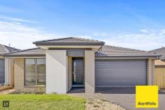  11 Vital Drive Tarneit VIC 3029 First Home Buyer Grant Available $10,000!! Eligible for Home Builders Grant $25,000 !! Mike Sarupria & Ray White presents this Brand New & vibrant family entertainer, Located in Grove estate! Offered to market first time this Brand New immaculately presented Family home is sure to impress any astute buyer and gives a great opportunity to buy their first home or add to their property portfolio. From the moment you arrive the homely faade & street appeal is only the beginning of this gorgeous family home. As you step inside you will appreciate the warm family feel mixed with modern living. This home should sit on top of any families inspection list. This Beautiful Family Home Offers: • 	 Indulgent Master Bedroom with WIR & En-suite • 	 3 Ideal Sized Bedrooms with BIR's • 	 Formal Lounge or Theater Room • 	 Central Bathroom • 	 Separate Toilet • 	 Entertainers Kitchen with walk in Pantry • 	 Extended Stone Bench top • 	 Stainless Steel Appliances • 	 Ample cupboard space • 	 Entertainers Open Plan Living | Dining • 	 Large Laundry access to the back • 	 Double Remote Garage Modern Extras Includes: - Ducted Heating Photos are for illustration purposes and the house is currently under construction but similar completed house is available for inspection. Call Mike Sarupria on 0430126491 or Adi on 0421 006 082 for further information. Incredible Family Homes are hard to find, be quick to book your inspection or discuss this home further Call Mike on 0430 126 491 . Photo ID required for all Inspections. DISCLAIMER: All stated dimensions are approximates only and photos are for illustration purposes and not actual photos. Particulars given are for general information only and do not constitute any representation on the part of the vendor or agent. Please see the below link for an up-to-date copy of the Due Diligence Check List: http://www.consumer.vic.gov.au/duediligencechecklist FEATURES: • 	 Built-In Wardrobes • 	 Close To Schools • 	 Close To Shops • 	 Close To Transport • 	 Secure Parking.. 