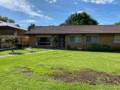  17 Mill St Toora VIC 3962 $365,000 Supersized home set on a large 986m2 block with rear access from laneway to LU garage / workshop and sheltered, fully fenced garden. Large ‘L’ shaped living room with new carpet and RC/AC for year round comfort. Lots of retro features with built in drinks cabinet, timber features and lots of storage. Kitchen with electric stove and skylight. Four fitted bedrooms plus study, master with ensuite. Main family bathroom with bath, shower and separate w.c. Laundry with external access. Covered rear games room. Quiet location with the Pear Orchard almost opposite and access to the Great Southern Rail Trail at the end of the street in this picturesque Historic township with so much to offer, just 2kms to boat launching and the pristine coastline. 