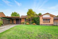  413 Schubach Street East Albury NSW 2640 Situated on 670sqm on one of the most desired streets in East Albury this well-designed home provides single level & low maintenance contemporary living. With endless opportunity to extend or renovate (STCA) this rare opportunity is one not to be missed. Ideally located within close proximity to all that inner city living has to offer this charming home showcases the following features: * Three spacious bedrooms all with built in robes, carpet and window furnishings. * Updated kitchen with oversized pantry and quality appliances. * Family bathroom with shower, bath, single vanity and separate toilet. * Ducted evaporative cooling through plus gas wall heating. * Large laundry with good bench space, broom cupboard and access to outside. * Double carport with attached single garage. * Large undercover entertaining area over-looking a low maintenance and secure backyard. * Council rates approx $1769.17 PA + Water Rates approx $852.45 PA plus consumption. 