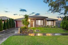  11 Taradale St Cranbourne North VIC 3977 $790,000 - $850,000 Experience the ultimate in single-storey family living with generous spaces throughout and all the bells and whistles included. Built by Metricon Homes, this home features all the luxury upgrades you would expect, from timber corner stackers doors to the alfresco, stone benchtops to the kitchen and bathrooms, and quality timber look flooring throughout. Catering to a wide range of families, including those working from home, the property offers a generous study which is positioned to the front of the home, and could alternatively be used as a fifth bedroom. The master suite also faces the neat and tidy front yard and features an indulgent ensuite with dual vanities and a double sized shower. The heart of the home is impressive with its open plan living and dining and the stunning kitchen overlooking it all. The kitchen features glass splashback, stone benchtops, 900mm freestanding oven and cooktop, dishwasher, quality rangehood, and feature pendants; cooking will be made easier than ever. Features include: - Large north facing 512sqm block - Master suite with indulgent ensuite and WIR - Minor bedrooms all with BIR's and easy access to bathroom and powder room - Open plan living and dining with timber corner stackers to alfresco - Generously proportioned second living space to the rear of the home - Separate study or potential fifth bedroom - Impressive kitchen with large island bench - Ducted heating throughout Positioned in a prime location in the sought-after 'The Avenue Estate', this home offers not only an exceptional property, but an opportunity to live amongst a family orientated community. Surrounded by local schools such as Tulliallan Primary School, Alkira Secondary College and many more, under a five-minute drive to the local shops, including Woolworths and Chemist Warehouse, and easy access to public transport with the 847-bus route only a short walk away. 