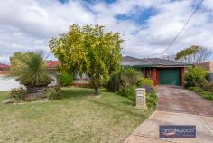  72 Robinson Rd Morley WA 6062 $649,000 Register your interest for this impeccably-presented 3-bedroom home with renovated kitchen, bathroom and laundry and a level 729 sqm block zoned R20/25 doubles the possibilities of this Morley property. The 1972-built brick and tile home features jarrah floors, high ceilings, ornate cornices, and good-sized bedrooms. 3 beds, 1 bath, 2 WC 1972-built brick & tile Level w R20/25 zoning North-facing lounge O-plan kitchen/meals Bright reno’ed kitchen Renovated bathroom Polished timber floors 729 sqm duplex block Quiet with great access A broad entry hall leads from the raised front patio to a north-facing loungeroom filled with light from the large picture window. This airy living space features a slow-combustion fireplace, reverse-cycle air-conditioning and polished timber floors. Easy movement from here to the open-plan kitchen meals area creates a flowing floorplan with a flexible layout. Glossy white cabinets bring luminosity to the renovated kitchen, a practical, well-appointed space with a U-shaped benchtop housing an electric oven and a 4-burner gas hob. Overhead and under bench cabinets and a tall pantry offer ample storage. The renovated laundry behind the kitchen offers additional storage and could be utilised as a larder or butler’s pantry. Three good-sized bedrooms and the renovated bathroom open off a central hall. The main bedroom boasts a north-facing picture window, built-in robes, and reverse-cycle air-conditioning. In the delightful family bathroom, patterned floor tiles and fresh, white walls surround a walk-in shower with dual shower heads and a modern vanity. A sheltered patio extends across the rear of the home and looks out across a level backyard, accessible via the drive-through garage. R20/25 zoning offers the potential for developing a duplex (STCA). This property offers exceptional access to arterial roads with the airport, Trigg, Perth CBD and the Swan Valley all 15-20 minutes away, yet it sits well back from a wide street in a quiet neighbourhood. 