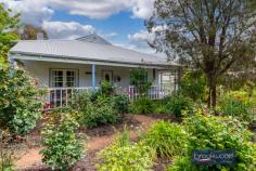  20 Craig St Mundaring WA 6073 $949,000 Welcome to ‘Thody House’ – a restored 1918-built cottage set behind a rose filled garden, boasting high ceilings with ornate roses, jarrah floors and wainscoting. Wide verandahs wrap around the front of the home offering a shady, relaxing space that provides direct access to the sitting and library rooms, which are set to the front of this home and a seamlessly-blended extension that leads to an open-plan kitchen and family area. An open fireplace, cast iron stove and leadlight windows add to the authentic charm of this delightful Hills cottage. 5 bedrooms 3 bathrooms Restored circa 1918 cottage Jarrah floors & wainscoting High ceilings ornate roses Deep verandah & rear deck OFP, cast iron stove, RC AC Level block laneway access Zoned Town Centre sub div 1897 sqm lot dual frontage Walk to town trails school A sense of history unfolds as you move through this property. At the front of the home, two large rooms with original jarrah floorboards and wainscoting are arranged on either side of the central hallway. Impressively high ceilings add to the sense of volume here and throughout. An open fireplace sits at one corner of what was perhaps the original sitting room. The wainscoted hallway leads to the centre of the current floor plan and a sizeable lateral space currently styled as a formal lounge and dining room. Originally two rooms, the space has been opened to form a modern living and entertaining area filled with natural light and double doors onto the verandah – creating easy indoor-outdoor living. The kitchen – a part of the later extension but still displaying the impressive ceiling height – has ample bench space, a dishwasher, an electric oven and a 4-burner hob. A study nook sits to one side of the open-plan kitchen/family room; this flexible space could be styled as an impressive walk-in pantry. A wall of north-facing windows frames views of the backyard and fills the open-plan living zone with natural light filtered by a vine-covered deck. Three double bedrooms and a study/5th bedroom are arranged towards the rear of the home and  share a sizable family bathroom, while the principal suite opens to a private corner of the front verandah – the ideal place to enjoy a leisurely breakfast and gaze across vines and rose bushes to a neatly trimmed hedge. A walk through-robe leads to an ensuite with a corner spa and overhead shower. A large utility room and laundry leads to a third bathroom that sits adjacent to the rear deck, an elevated outdoor living zone shaded by vines and overlooking a generous-sized backyard with raised vegetable beds and a chicken coop at one corner. Thody Lane runs along the rear boundary; not only does it give this home its name, but it also provides easy access to the backyard. The level, dual frontage 1897 sqm lot is zoned Town Centre and can be subdivided (STA) to R60 at a minimum. Let the charms of this Hills original seduce you with its perfumed gardens, generous proportions, high ceilings and a palpable connection to local history. A brilliant location puts sporting facilities, schools and the bustling Mundaring village within walking distance. Those seeking outdoor adventures can head to the Heritage Trail and begin exploring its 30 km of trails. 