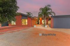  457 Walnut Avenue Mildura VIC 3500 $499,000 - $544,500 "Wow!" Upon entry is the best way to describe this beautifully renovated brick veneer home. Pure class with a modern kitchen featuring large butlers pantry including servery window, two stunning bathrooms and a resort style feel that is ideal for entertaining. Open plan in its design, your large meals & living space flows seamlessly to a full length outdoor area that views a large inground pool, solar heated & salt chlorinated, with a separate paved area to entertain poolside in numbers. Internally each bedroom offers built in robes, ceiling fans and are heated & cooled by your ducted reverse cycle unit. Modern tones throughout and stone bench tops to your large kitchen island are real highlights. Spectacular in presentation, clever in design and also hosting six car accommodation with a secure carport; don't forget your landscaped gardens which are viewed from light filled living spaces and a great shed with concrete floor & power, this one is not to be missed! 