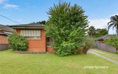  28 Sunshine Ave Penrith NSW 2750 $739,000 - $779,000 Centrally located this neat and tidy brick home is perfect for the first homeowner, downsizer, or investor. Featuring a tidy kitchen and bathroom, three bedrooms with built-in robes and ceiling fans to all, two living areas with a well-proportioned living area at the front of the property and a second at the rear which leads out to a generous backyard which would be ideal for the kids or family pet. Located only moments to the heart of the Penrith CBD. This property is sure to be popular so book your inspection with Leonidas today. * Land size approx. 556sqm * Good sized level backyard * Currently tenanted and happy to stay * Close to transport, schools, and shops 