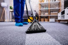  At Total Cleaning Melbourne, we believe that a clean home is a happy home. Our  Melbourne Carpet Cleaning  services are designed to transform your dull and dirty carpets into soft and plush surfaces that you can't help but sink your toes into. Whether it's stubborn stains, pesky pet odours, or just the buildup of daily wear and tear, our professional team uses top-of-the-line equipment and eco-friendly products to restore your carpets to their former glory. Say goodbye to allergens and hello to a fresher, healthier living space with our high-quality carpet cleaning services. Trust us to take care of the dirt while you sit back and relax. Contact Total Cleaning Melbourne today for a quote and experience the difference in every step. 