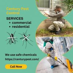  "Discover peace of mind with our effective pest control solutions in San Antonio!   Our expert team is committed to keeping your
home bug-free and ensuring a safe environment for your family.   From thorough inspections to targeted treatments,
we tailor our services to your unique needs. Say goodbye to pests and hello to
a pest-free home!   