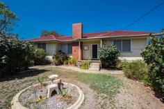  4 Zamia Street Rangeway WA 6530 $230,000 It isn't easy to find properties at this price anymore yet here is a gem just 5 minutes form the Geraldton CBD. 4 Zamia is a much loved family home that is being offered up for sale for the first time in many years. 1965, Asbestos walls, tile roof. Jarrah Floorboards. 3 bedrooms, 1 bathroom. Separate lounge. Fireplace in the main area. Linen cupboard. 876 m2 block. 8mt x 3.3mt powered shed. Lovely back patio. Garden shed. Delightful established gardens. Fully sealed driveway to the rear. Zoning is R30 so another dwelling is possible with council approval. A delight to inspect and exceptional; value for money. 