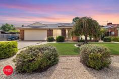  13 Falconer Place Bungendore NSW 2621 $965,000 - $995,000 Welcome to 13 Falconer Place in the charming town of Bungendore. This family friendly 4 bedroom, 2 bathroom Hotondo home is the perfect option for the whole family, offering ample space both inside and out. The interior of the home has been freshly painted throughout and offers 2 large living zones, spacious kitchen with stainless steel appliances, a covered outdoor entertainment area, double garage under roofline and much more. The segregated master bedroom includes an ensuite and walk-in robe, whilst the remaining bedrooms all have built-in robes. Year round comfort is assured with a combination of ducted gas heating, evaporative cooling and a slow combustion fire providing that perfect ambiance on a cold winter's night! A large (19 panel) solar system, supplementing mains power will ensure that you will never be nervous about power bills again. Situated on a generous 1150 sqm block, the home has been perfectly sited to provide for plenty of side access to the rear for the boat, caravan or trailer. There is ample space to build a large shed or put in a swimming pool with heaps of room left for the kids and pets to play safely. Conveniently located close to a reserve and a play park for the kids, the lucky new owners will also enjoy being within easy walking distance from Elmslea Ponds and the recreation area which includes BBQ areas, oval, skate park, bike paths and easy access back into Bungendore Village. 