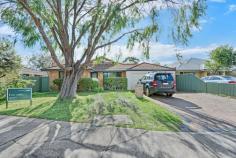  19 Honeyeater Cres Geographe WA 6280 Tucked away on a quiet street, this spacious 4 bedroom, 2 bathroom home is within easy walking distance to the beach and local park. It is perfectly positioned on a 480sqm easy-care block and comes fully reticulated to established lawns. The master bedroom at the front of the home has a walk-in robe and ensuite, while all minor bedrooms are generous in size and feature built-in robes. The open-plan design provides the main character of the home, with a spacious kitchen overlooking the living and dining areas. The kitchen itself has plenty of bench space, walk-in pantry, wall oven and double fridge recess. A separate living area provides another space to utilise for the kids or family movie nights. The living room has access to the alfresco area which overlooks the private backyard. A double lock up garage has access through to the rear and a garden shed provides extra storage for the tools.  Just 1.3km up the road is the Bayside IGA, pharmacy, bottle shop, hairdresser and takeaway restaurants, with the local primary school alongside. All this just a short drive to the famous Busselton Jetty and town centre where you can enjoy cafes, restaurants, shopping and entertainment, or take advantage of the South West lifestyle on offer with swimming, fishing or sunset walks along the foreshore.  