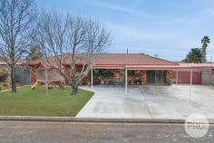  69 Blaxland Way Tamworth NSW 2340 This beautifully presented and well-maintained brick home is situated on a 627sqm block in Westdale. Providing space for the entire family, offering a spacious living room with ceiling fan and reverse cycle air-conditioner, an additional living/dining with two ceiling fans and reverse cycle air-conditioner. With a modern kitchen containing ample storage space and a walk-in pantry. The main bathroom maximizes space and functionality and includes a bathtub and separate toilet, with an additional second toilet located at the other end of the home. With an office, plus four generously sized bedrooms, each complete with built in wardrobes and ceiling fans. The spacious studio out the back with a reverse cycle air-conditioner and the alfresco area is perfect for all your entertaining needs, with a retractable roof that allows you to have it opened or closed, perfect all year round. Other features include a double carport, two powered colour bond storage sheds, a garden shed, and side access, perfect for trailers or a caravan. Conveniently located just minutes from the CBD, close to schools, shops and health services. 