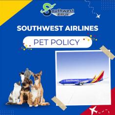  Want to bring your pet on the Southwest flight? Check out the  Southwest Airlines pet policy  to book pet travel with the airline and have a smooth experience. Southwest allows small dogs or cats on the flight. Go to the airline’s counter at the airport to add a pet to your reservation and have a seamless experience in the air. Southwest promises to make your journey memorable with your furry friend. Also see:  Southwest Airlines seat selection policy 