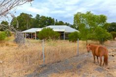  12 Howlett Ramble, ARGYLE WA Hobby Farm in Great Spot! Offers Over $480,000 If you've looked for an affordable 4 bed, 2 bath on 2.02ha (5ac) within a 30mins drive from Bunbury but can't find anything? Well you have arrived at last as this pretty property is privately located at the Donnybrook end of Howlett Ramble. Whisper quiet with only local traffic, the property is well fenced (ring locked) with 4 paddocks currently operating as a hobby farm. A windmill services the animals and yard and a 90,000 litre water tank supplies rainwater to the house. A few fruit trees and some well placed native trees ensure shade in the right areas and privacy and windbreaks. Neither hilly, flat or rocky, it's about perfect! The double brick and iron home enjoys a sunlight filled north facing aspect. The living area and kitchen open onto a huge gabled patio on the north side, which overlooks the rear of the property. There is a separate lounge and the bedrooms are double sized with built-in robes. The kitchen has a walk-in pantry, double sink, electric wall oven and gas cook top with room for an extra large fridge or two. Hot water is instant gas, as is home heating. There are two 3m x 3m garden sheds, 90,000 litre tank, small stable (designed for miniature ponies), irrigated veggie garden area and a carport to house up to 4 vehicles. Make the move out of town and enjoy peace of mind. The kids can roam and hop on one of the local school buses. Consider it now before it's too late! [-]  Property Features Built-In WardrobesClose To SchoolsClose To ShopsClose To TransportFireplace(s)Formal LoungeGarden 