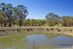 13 stringy bark ridge road armidale Perfectly located is this small rural holding with sealed road access to
 the University City of Armidale . On offer is approximately 35 acres 
which is currently run as a stud Angora Mohair goat enterprise. There 
are numerous stand out features of this property, they include; - 4 bedroom brick veneer home, main bedroom with ensuite. - Multiple living areas through out the home with wood heating. - Large timber kitchen with a great Northern outlook and timber verandah. - Solar hot water system and back to grid solar panels. - 6 Bay colourbond shed with workshop areas with fully equipped single stand shearing shed. - Separate toilet and shower off workshop area. - Ample water storage, 5 x 25,000 litre tanks, 3 dams, plus creek frontage. - Fenced into 5 paddocks with good shelter breaks. - Established goat/sheep/alpaca yards and loading race. To view this exceptional property contact Michael Singleton on 0434714788 today for further information.