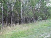   Lot 8 Oakey Creek Road COOMERA, QLD 4209 Ideally located close to Railway Station, Motor Way, School, Tafe, Sports park and Proposed Major Shopping Complex. Features include: * Water Frontage with Ocean Access * Future urban zoning (Albert) * 3.26 Hectares for $1.2 Mil (Approx. $17k per every 500sqm) * Future Development Potential * If approved possible 64 x 500sqm lots = massive profit * 1st time offered for sale in over 25 years * Priced for a quick sale 