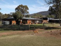  Lot 31, 38 Bushes Lane GUNNEDAH NSW 2380 A great little
retreat.. Just over 7 acres, minutes from town & setback from Bushes Lane. 

 Featuring 3
Bedrooms and a spacious office. The property has a modern country kitchen with
dishwasher,2 living areas, main bathroom includes spa bath & sep shower,
sep toilet and a second shower and toilet in the laundry. The home has A/C, a
cosy wood fire and gas hot water. 

 4 bay shed, 2
stables, a chook run and fully fenced backyard, townwater and a shared bore. 

 3 Hectares.
Inspection is by appointment. 

 DISCLAIMER;
"The above information has been supplied to us by the Vendor. We do not
accept responsibility to any person for its accuracy and do no more than pass
this information on. Interested parties should make and rely upon their own
enquiries in order to determine whether or not this information is in fact
accurate."  