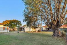 506 Rode Rd Chermside QLD 4032 Property Facts Property ID 2708177 Property Type house For Sale Price $435,000 Land Size 612 m2 House Size - Council Rates - Water Rates - Strata Levy - Tender Date 