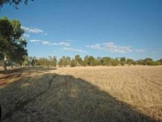  Lot 41, 17A Bayly Street York WA 6302 The great piece of rare level land has now become available and is priced to sell! Over 2 ha (20,000 + sqm) just 3 kms from the beautiful York main street. Has power, water and phone all ready to at the entrance to the lot. Zoned rural residential. Very few secluded lots of this size come to market. This is exceptional value. Build you dream home here and live amongst this great community. Call Tony on 0434 905 430 to discuss. Email: tony@thepropertymasters.com.au 