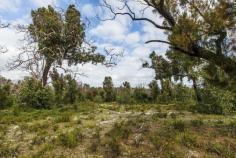  30 Thompson Crescent Lake Clifton WA 6215 THIS REALLY IS THE LIFESTYLE BLOCK YOU HAVE BEEN WAITING FOR... 
 
LOOK NO FURTHER THAN THIS LITTLE SLICE OF HEAVEN... 
 
Some of the many highlights include - 
 
# Situated on the highest part of the escarpment with glimpses of the estuary. 
# Currently 25% of the block is cleared. 
# Secluded level building envelope and 1000sq of cleared area near the top of the block. 
#Sealed road to the top of the block. 
# Rejuvenated growth after the fires in 2011. Native wildlife returned. 
# Situated 10 minutes from the freeway. 
# And all this just 5 short minutes from the beautiful Island Point Reserve and the pristine estuary. 
 
Enjoy the relaxed lifestyle, ride the horse trails, enjoy the boating 
and crabbing from the estuary. Leave the rat race behind and relax and 
enjoy your new lifestyle! 
 
Call Cassie (0404 592 991) today for more details. 