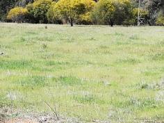  Lot 2 Fernie Rd, Bakers Hill, WA 6562 
 
 YOUR OWN PIECE OF HEAVEN!! 
 
 
 
 
 
 
 Just enough pasture to keep the ponies 
(about 75%) , a bit of bush for shade and a winter creek to have those 
picnics beside!
Fully fenced 5 acre block with all services available .
Come and see this pretty block and decide where the dream house is going
 to be built!
 