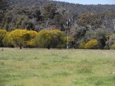  Lot 2 Fernie Rd, Bakers Hill, WA 6562 
 
 YOUR OWN PIECE OF HEAVEN!! 
 
 
 
 
 
 
 Just enough pasture to keep the ponies 
(about 75%) , a bit of bush for shade and a winter creek to have those 
picnics beside!
Fully fenced 5 acre block with all services available .
Come and see this pretty block and decide where the dream house is going
 to be built!
 