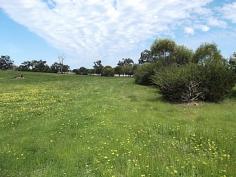  LOT 361 Glenmore Dr Bakers Hill WA 6562 
 
 HEALTHY AND CONTENTED SHEEP!! 
 
 
 
 
 
 
 No, the sheep aren't staying but they 
are very happy, healthy and contented grazing on this lovely 7.4 acre 
(2.98 ha) block. Lots of lush pasture and surrounded by a wide variety 
of shelter trees planted by the owner and now growing to be quite a 
show!.
The block is fully fenced with double gates, scheme water is already 
connected and three phase power is available.
Come and see this one, it has lovely rural views but bring your own 
horses, alpacas or whatever takes your own fancy!
 