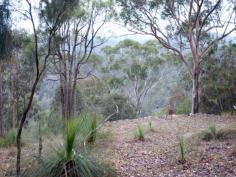  97 Una Road Bucketty NSW 2250 Lovely Views, 28 Acres, 3 Bedroom Home These 12.33ha ridge top hectares (28 acres) provide a lovely little oasis in the bush with beautiful hill and valley views, mature fruit trees and a couple of acres of cleared land. The comfortable 3 bedroom home has raked ceilings, reverse-cycle air conditioning, solar hot water, good sized master bedroom with walk in robe and lovely valley views from the kitchen.  Well set up yard with permaculture style garden with large chook run and area with pond for ducks and geese living a nice life under the shade of the mulberry trees. Plenty of garden shed and storage space, plus a small orange orchard. There is a swimming pool currently home to many happy goldfish which could be converted back for people use. There is a large shed with mezzanine, providing plenty of storage area. There are tanks for water storage and a reticulated sewerage system. Overlooking a scenic valley view is a rustic barbeque hut with pot belly stove. A trail leads down the scenic valley and over the hill across the property. Visitors to the property include blue wrens, bower birds, lyre birds, possums and wallabies. Around ten minutes from local store/cafe and school bus stop. General Features Property Type: Lifestyle Bedrooms: 3 Bathrooms: 1 Land Size: 11.33ha (28.00 acres) (approx) Price per acre: $17,500 Indoor Features Reverse-cycle Air Conditioning Outdoor Features Outdoor Entertaining Area Shed Swimming Pool - Inground Eco Friendly Features Solar Hot Water 