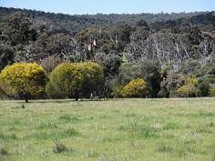  Lot 2 Fernie Rd, Bakers Hill, WA 6562 
 
 YOUR OWN PIECE OF HEAVEN!! 
 
 
 
 
 
 
 Just enough pasture to keep the ponies 
(about 75%) , a bit of bush for shade and a winter creek to have those 
picnics beside!
Fully fenced 5 acre block with all services available .
Come and see this pretty block and decide where the dream house is going
 to be built!
 