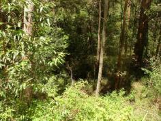  211 Long Gully Rd Drake NSW 2469 6 HA BLOCK close to Drake 
* All weather road to property 
* Some great building sites on block 
* Plenty of trees for privacy 
* Power to front of block 
* 85 kms to Casino & 50 kms to Tenterfield 
* Seasonal creek runs through 
* Refreshing water holes in creek 