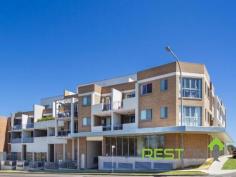 20 Brady Street, Merrylands, NSW 2160 - ATTENTION ALL INVESTORS! - Reston Real Estate - Blacktown