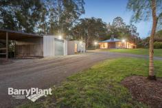  1205 Bessie Creek Rd Gembrook VIC 3783 Recently refurbished, this home sits proudly on the top of a hill and at
 the end of a long and private driveway on 37 acres (approx.) of land. 
The property is a picturesque mix of bushland with creeks and valleys 
(including the headwaters of Bessie Creek which is home to a range of 
wildlife) plus there are a couple of acres of cleared land including a 
dam and mature European trees. The home offers 3 robed bedrooms, modern 
bathroom, updated kitchen including dishwasher and stone bench tops and 
an open plan lounge and meals area which opens onto the deck to enjoy 
the summer evenings. Special features include polished floor boards, 
wood heater and split system air conditioner, alarm, ceiling fans, 
110,000L water tanks and ample parking. Outdoor features include a 
modern 2 roomed studio, 15x9m shed, a double garage/workshop, automated 
gate, 1km of tracks through and around the property & 2 additional 
spring fed dams. The property offers a great opportunity of an updated 
home with a perfect mix of benefits only a short distance to Gembrook or
 Pakenham with all their facilities. Start your dream lifestyle now - call Mick Dolphin on 0429 684522 or Melanie Degen on 0490 349847 for an inspection today! 