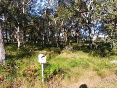  LOT 3 Fishermans Reach Rd Fishermans Reach NSW 2441 HUGE BLOCK SMALL PRICE 
 Situated close to the river, with sealed road frontage, peaceful and
 private. Level and well drained is this easy build block that is 3035m2
 in size. Surrounded by nature with enough room for the dream home and 
sheds, this is great value at $150,000 
 
 