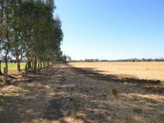  437 Government Rd Harvey WA 6220 6.54 Hectares 
 Approx. 16 acres, lovely property with 54 Meg water allocation, hay shed, bitumen road frontage. 
 
   Read more at http://harvey.ljhooker.com.au/1GHFEW#UIzLtMQVmxtx3QHu.99 