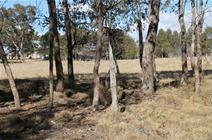 7/24 Merinda Street, Wallangarra QLD 4383 Small Acreage in Wallangarra $85,000.00 This 4.5 acre block is well located on a quiet road in Wallangarra on the edge of town. Adjoining Crown Land, this block is fenced into 1 paddock, comprising undulating to gently sloping country and is well treed with shelter belts keeping it private. Excellent building sites with a Northerly aspect. 