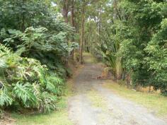  452 Henri Robert Dr Tamborine Mountain QLD 4272 
						
							4161m2 Block with Stunning Coastal Views
						
						 Build your dream home today on an elevated block with vast Coastal and Hinterland Views! 4161m2 block of land in sought after location surrounded by beautiful homes. Within minutes to the golf club, schools, shops and transport   
					 