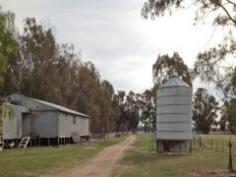  197 Ryans Lane Avenel VIC 3664 'HOLMEDALE' 964 ACRES - (390HA) Situated in Locksley, just a 10 minute drive North of Avenel. A versatile grazing property nestled in the heart of the renowned Avenel/Locksley district. Well improved farming property suitable for sheep, cattle or horses.  * 1940's renovated homestead in established garden setting * 4 spacious bedrooms, master with en suite and walk in robe * Open plan kitchen/meals area with separate lounge/dining with built in bar * Two R/C air conditioners plus two slow combustion wood heaters * 964 undulating acres watered by numerous dams * 5 paddocks, machinery shed, timber sheep and cattle yards  * 4 stand GI shearing shed * Charlies Creek and Reedy Creek both traverse the property Inspection by appointment please call Paul Bongiorno 0428584755 View Sold Properties for this Location View Auction Results General Features Property Type: Acreage/Semi-Rural Bedrooms: 4 Bathrooms: 2 Land Size: 390.12ha (964.00 acres) (approx) Price per acre: $1,349 Indoor Features Reverse-cycle Air Conditioning Outdoor Features Garage Spaces: 2 Shed Eco Friendly Features Water Tank $1,300,000 