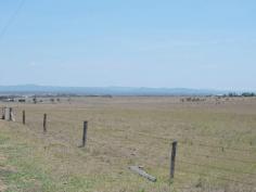  6 Lonsdale Road Sladevale Qld 4370 This quality 10 acre lifestyle building block situated only 5 mins form 
Warwick. New fencing, townwater, power and phone past gate. Excellent 
building sites with views to the mountain ranges. 