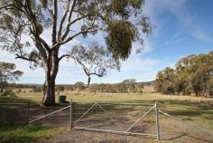 LOT 3 Neagles Ln Tenterfield NSW 2372 $110,000.00 
 2 acres peacefully located 2kms from Tenterfield Magnificent views towards town and ranges Improvements made since purchased 20/10/2011 Burned off, slashed, part harrowed, kikuya and cocksfoot planted Pad cut for shed, road bass laid Dam cleared out Soil tested Boundary fence completely secured with rabbit netting The works done, this block has been well improved and is ready to go!
 