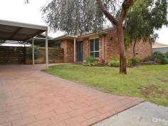  104 Crossen St Echuca VIC 3564 Family Focused Entertainer. Auction Details: Sat 25/07/2015 11:00 AM If you are looking to secure the perfect family home which boast dual living areas, three bedrooms, a study, great outdoor entertaining areas and a solar heated in ground pool, then look no further than number 104 Crossen Street in Echuca.  Located close to shops, schools and transport this beautiful family home should be at the top of your list.  Extensively renovated throughout, the home features quality fittings and finishes and provides plenty of space for the family.  The three bedrooms are a great size with the master bedroom providing a large walk in robe and ensuite.  The sun soaked open plan living area is complimented with its own private views of the garden.  Featuring ducted heating and evaporative cooling throughout, you have all bases covered when it comes to maintaining a comfortable temperature.  As you step outside you are greeted with a large undercover entertaining area, established gardens, large shed and at the rear of the property you will find a lagoon style, solar heated pool with adjoining entertaining area – Perfect for those warm summer days!  It is not every day you will find a property of this quality in this highly sort after area. PROPERTY DETAILS AUCTION ID: 330607 Land Area: 893 m² 