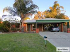  75 Thomas St East Cannington WA 6107 $615,000 1010m² R17.5/30 W/ Quality 3 Bedroom Home Take your opportunity to secure this fantastic 3 bedroom, 2 bathroom family home which features robe recesses in all bedrooms, open plan Kitchen / Dining / Living, large 8m x 9m workshop and more. Situated on 1010sqm, zoned R17.5/R30 the development opportunity for this property is one not to be missed. With the potential of retaining the existing home and developing to the back, or extend the property and utilise the huge workshop to the rear! The property is also superbly located within 300m to Gibbs Street Primary School, 700m to Maniana Parklands, 1km to Cannington Bus & Train Station and only 2km to Westfield Carousel & Surrounding Facilities. Property Features: - Double Carport with room for more cars off street - Side access to rear - Ducted evaporative air-conditioning throughout - Master bedroom with ceiling fan, walk in robe and ensuite - Second living room or theatre to the front of the house - Second and third bedrooms with built in robe recess and ceiling fans - Main bathroom with shower, bath & vanity with storage - Open plan Kitchen / Dining / Living - Kitchen with gas cooktop, wall oven, microwave recess, walk in pantry, built in pantry & fridge recess - Large living room with ceiling fan opening onto rear alfresco - Patio entertaining area overlooking entertainers rear yard - Plenty of room for pets / kids - Already fenced of rear block  - Large 8m x 9m workshop on rear block - Surrounded by parklands - Block Size: 1010sqm - Building Size: 140sqm approx - Building Age: 1994 - Frontage: 15.69m - Zoning: R17.5/R30 - Water Rates: $957.80pa - Council Rates: $744.97pa If you would like to receive a copy of the Certificate of Title, Landgate Property Interest Report or Sewer Map please send an email to cameron.smart@raywhite.com 